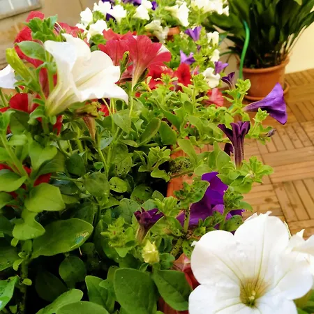 Gæstehus Casabona1910 3*